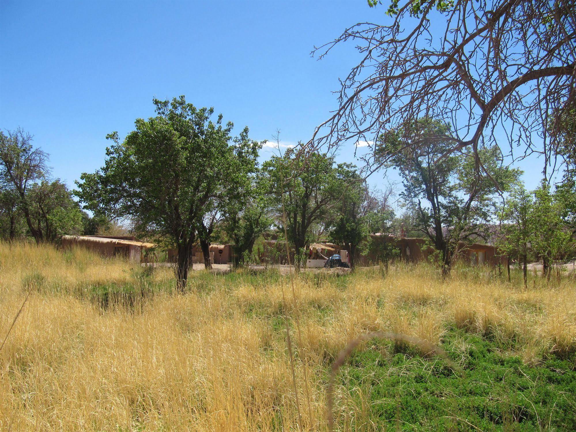 Rancho Quitapenas Bungalows San Pedro de Atacama Exterior foto